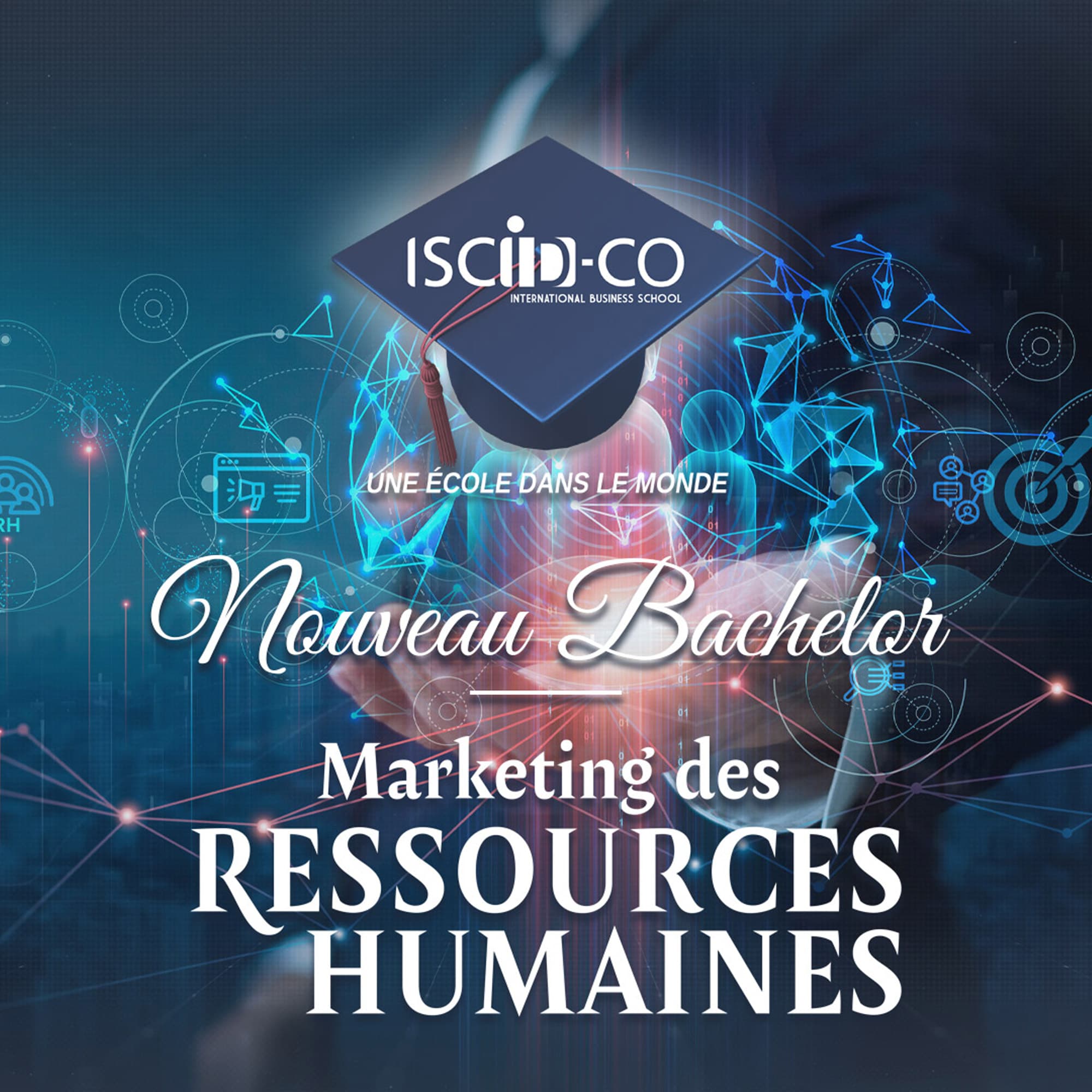 Bachelor Marketing des Ressources Humaines